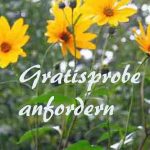 Gratis Probe
